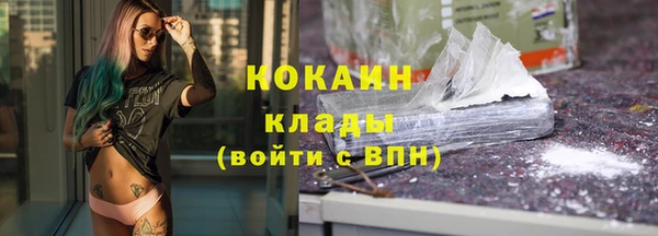 мяу мяу мука Арсеньев