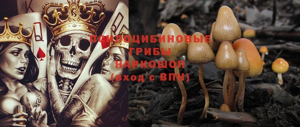 мяу мяу мука Арсеньев