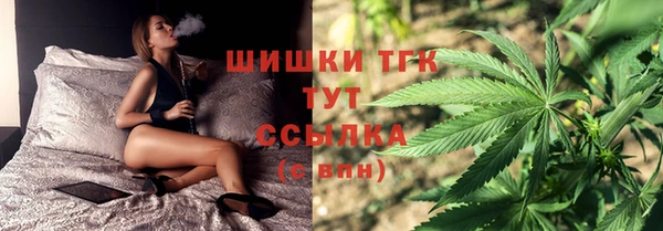 мяу мяу мука Арсеньев