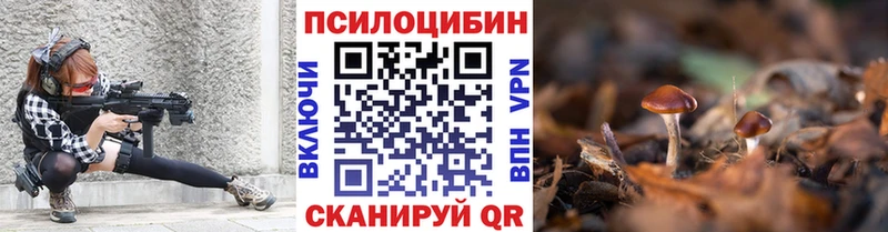 как найти Шумиха Псилоцибиновые грибы ЛСД